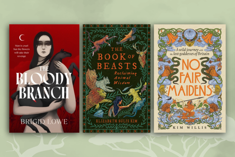 Book covers of The Bloody Branch by Brigid Lowe, The Book of Beasts by Elizabeth Sulis Kim and No Fair Maidens by Kim Willis.