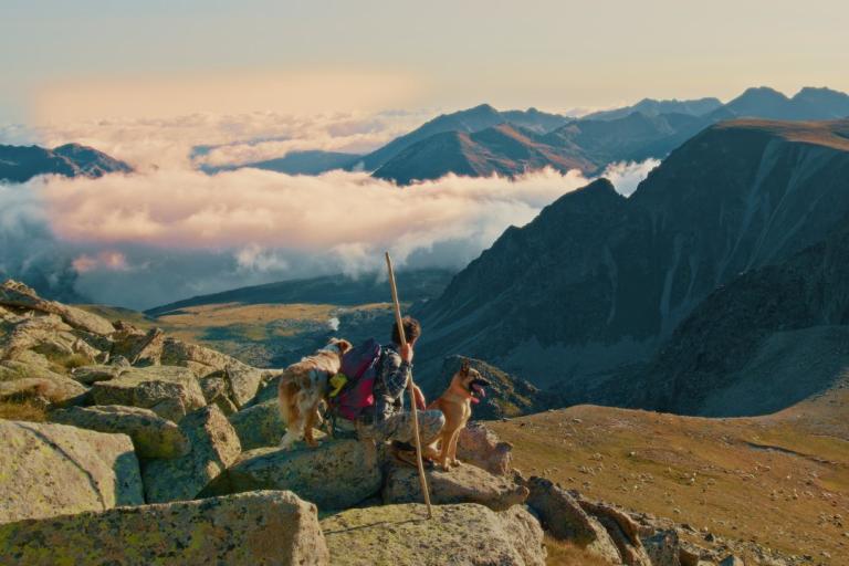 A person with two dogs overlooking a valley from a mountain