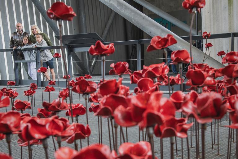 Ceramic poppies displayed at IWM North
