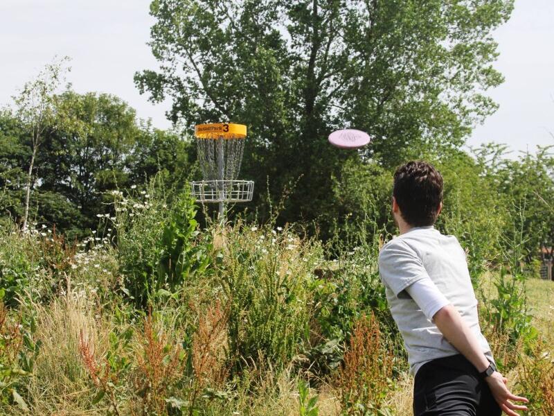 Person playing disc golf