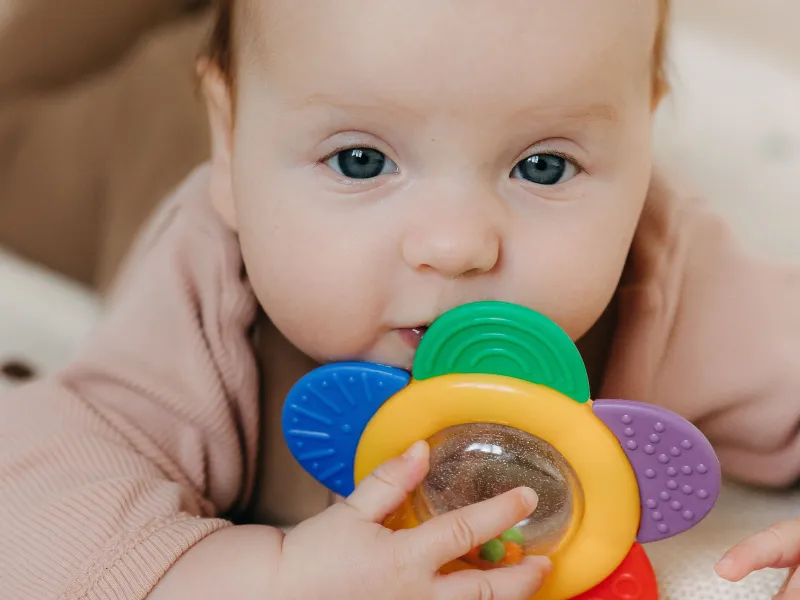 Baby looking into camera holding small toy.