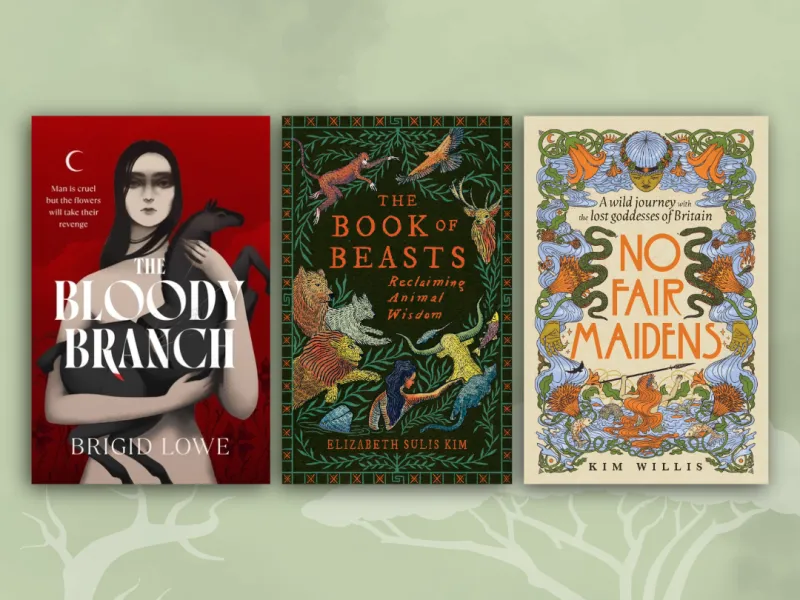 Book covers of The Bloody Branch by Brigid Lowe, The Book of Beasts by Elizabeth Sulis Kim and No Fair Maidens by Kim Willis.