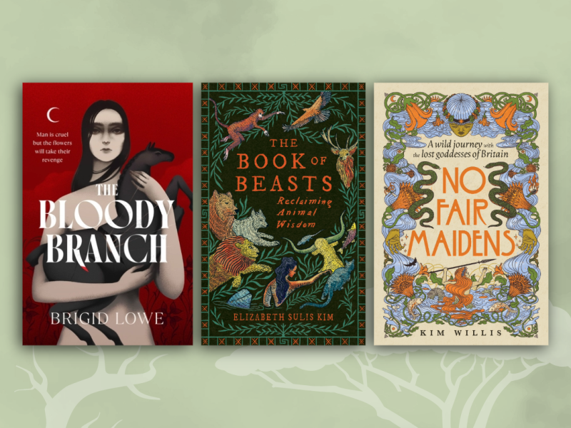 Book covers of The Bloody Branch by Brigid Lowe, The Book of Beasts by Elizabeth Sulis Kim and No Fair Maidens by Kim Willis.
