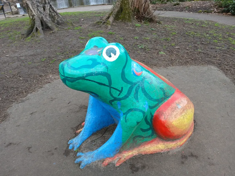 Multicoloured frog in a park