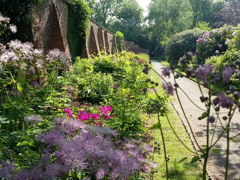 Lush flowerbeds and a strip of lawn next to a path in a walled garden