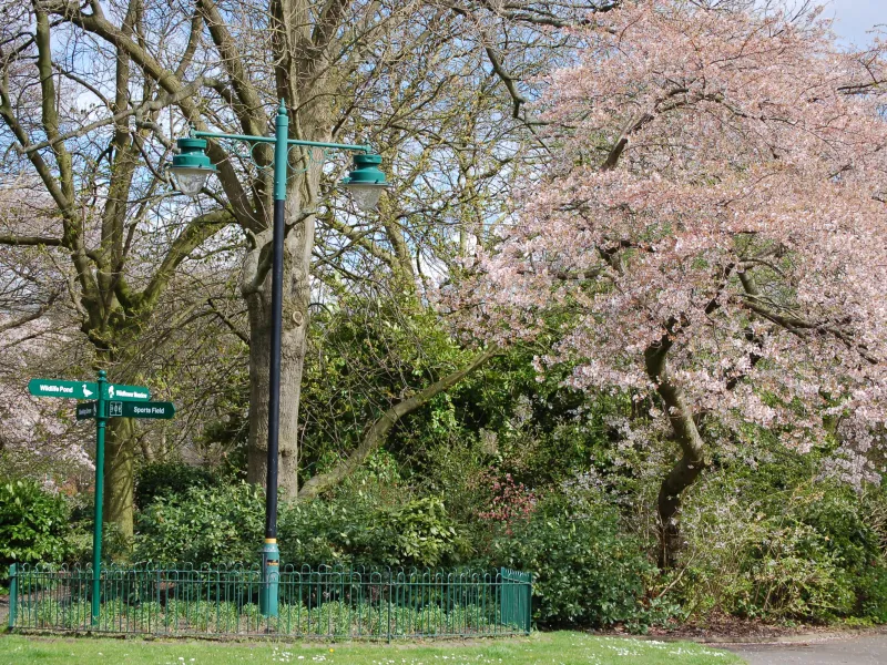 Trees, a lamppost and wayfinding sign in a park. 