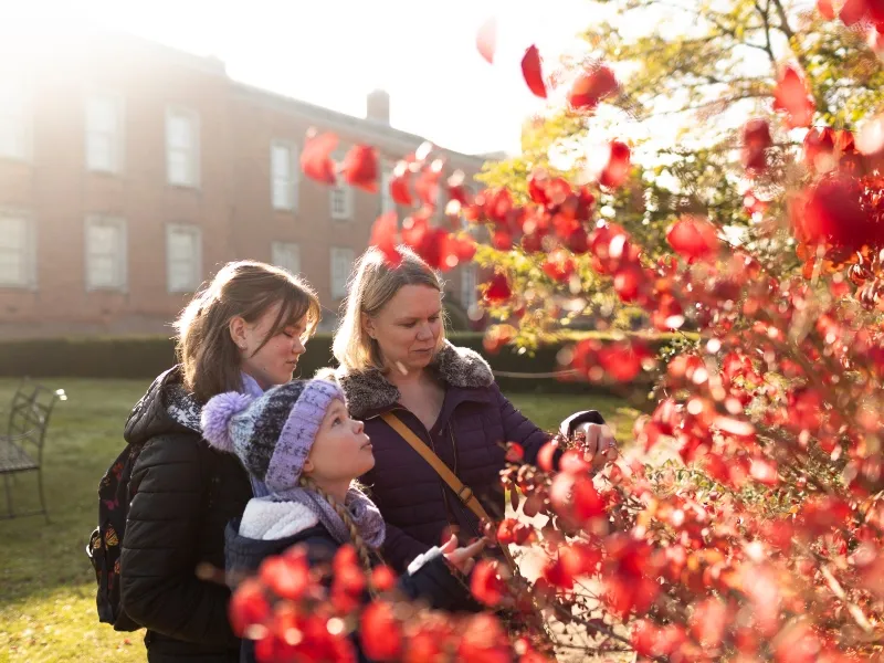 October half term at Dunham Massey