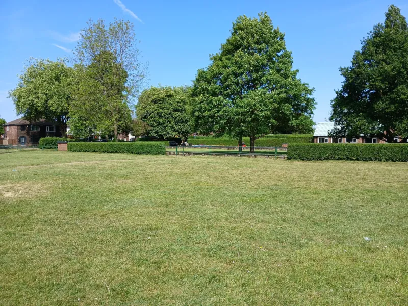 A wide green lawn in a park, with trees in the distance