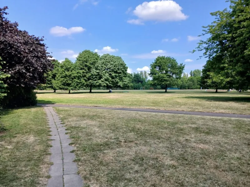 Paved paths through a park with trees in the distance