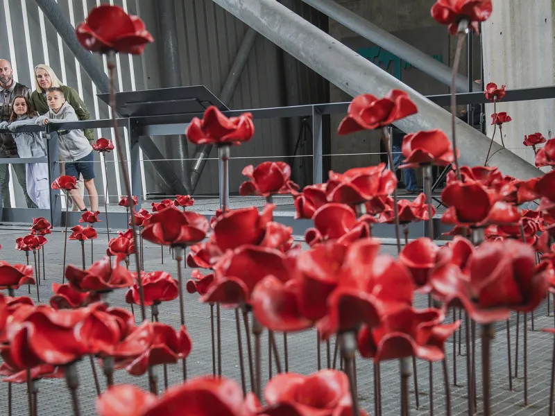 Ceramic poppies displayed at IWM North