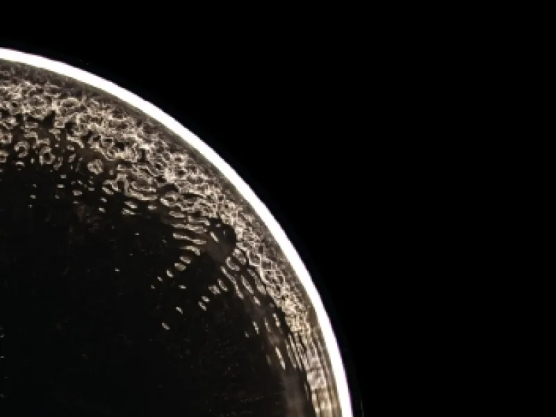 A white semi circle of dots on a black background